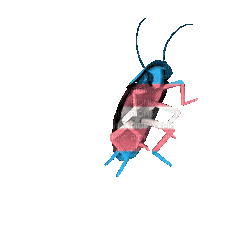 gif5